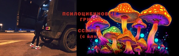ешки Гусев