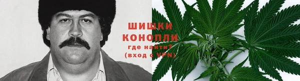 стаф Дмитровск
