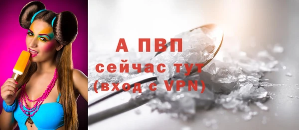стаф Дмитровск