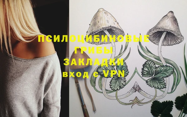 стаф Дмитровск