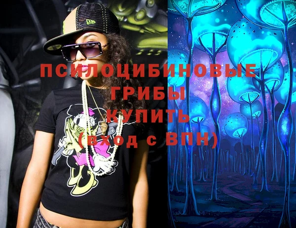 мет Дмитриев