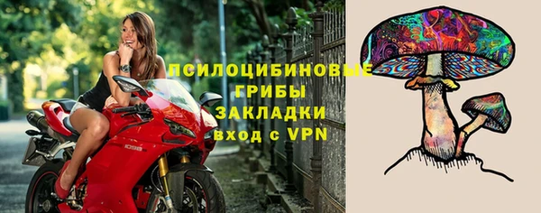 тгк Гусиноозёрск