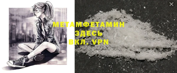 прущие грибы Дмитров