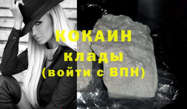 прущие грибы Дмитров