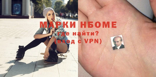 прущие грибы Дмитров