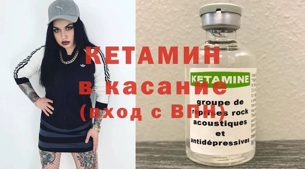 прущие грибы Дмитров