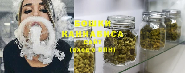 мет Дмитриев